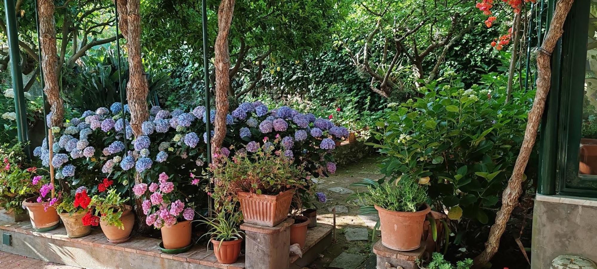 Dei Fiori Acomodação com café da manhã  *